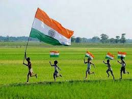 Tiranga Flag Store